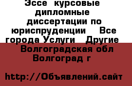 Эссе, курсовые, дипломные, диссертации по юриспруденции! - Все города Услуги » Другие   . Волгоградская обл.,Волгоград г.